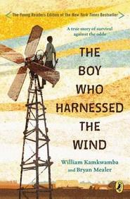 Boy Who Harnessed The Wind, The