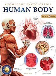 Human Body Box Set: Knowledge Encyclopedia For Children